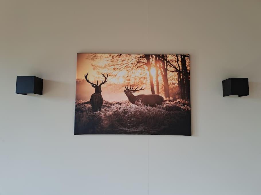 Lange Heide Daire Otterlo Dış mekan fotoğraf